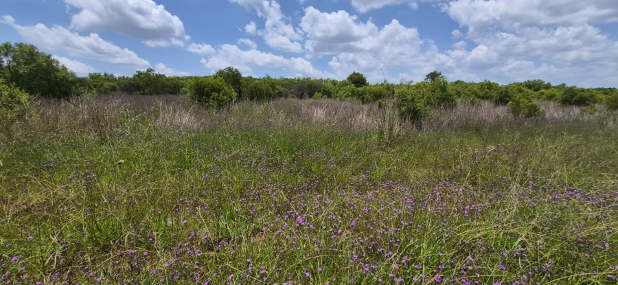 10 Bedroom Property for Sale in Swartruggens North West